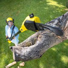 Best Arborist Consultation Services  in Bret Harte, CA