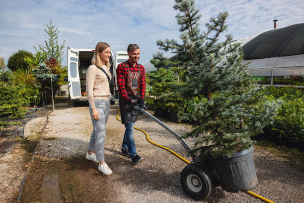 Best Fruit Tree Pruning  in Bret Harte, CA